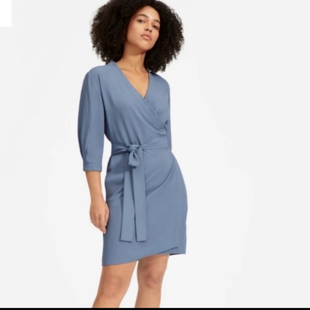 Everlane Japanese GoWeave Wrap Mini Dress Blue 4